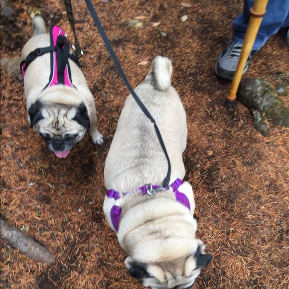 Meet your Posher, Angie - Picture 5 of 6